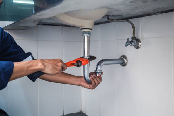 Best Local Plumber Services  in Longbranch, WA